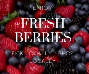 Maine PYO Fruit Farms, Berries, Blueberries, Strawberry Farms, PYO Apples